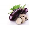 Berenjena/Eggplant/баклажан