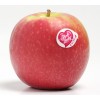 Manzana Pink Lady/Apple Pink Lady/ Яблоко Розовая леди
