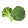 Brócoli/Broccoli/брокколи